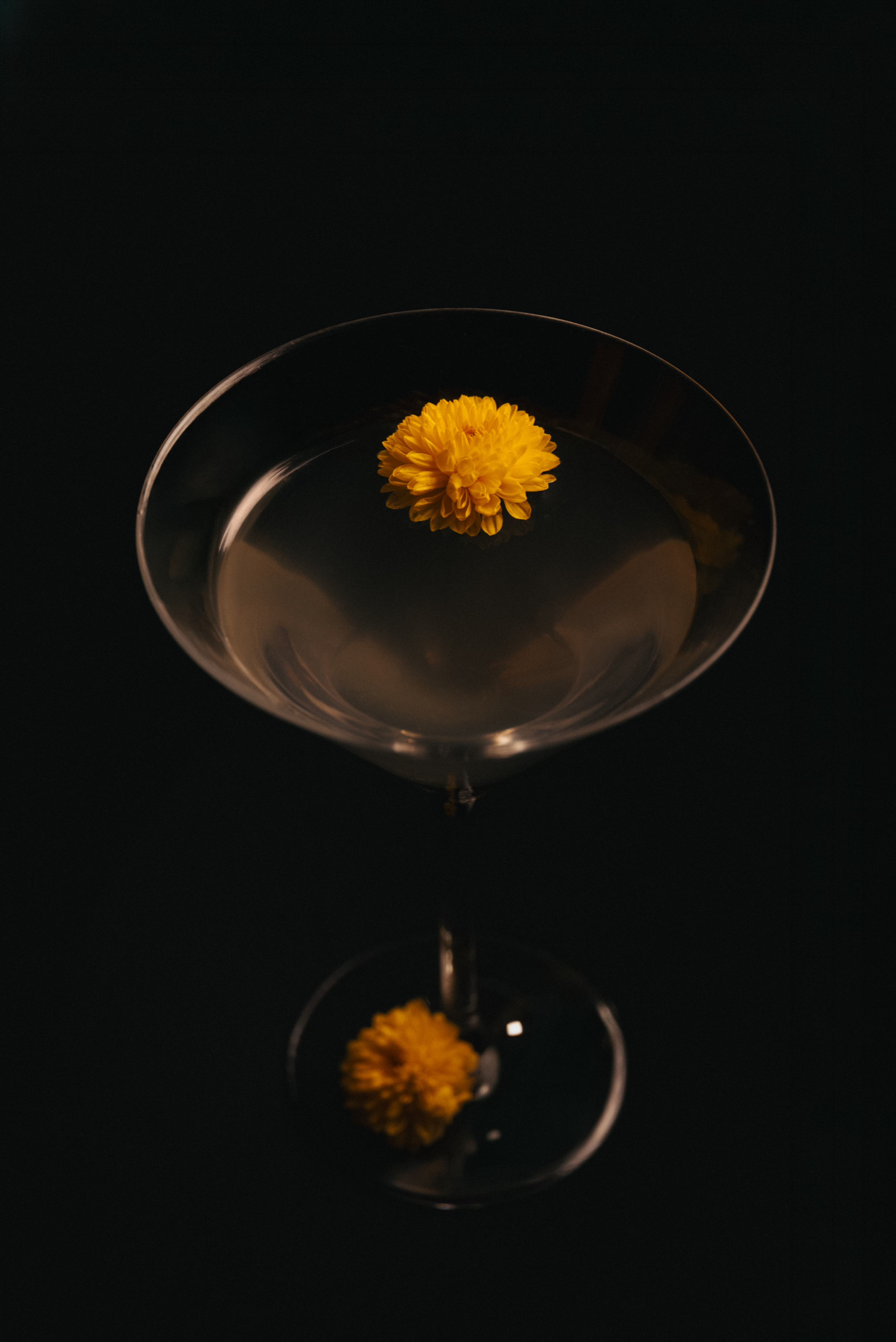Classic Cocktails